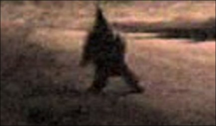 http://whoyoucallingaskeptic.files.wordpress.com/2009/03/creepy-gnome.jpg?w=434&h=254